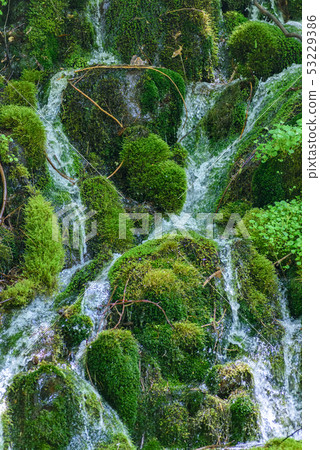 Motoyuki underwater water Motoyuki underwater water 53229386