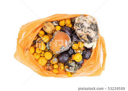Bag contain rotten moldy fruits and vegetable 53229589