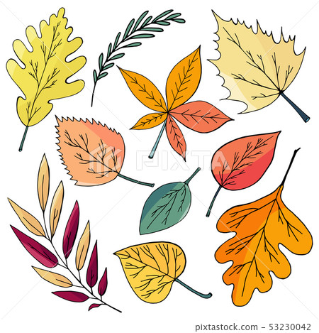 Основные RGB Основные RGB 53230042