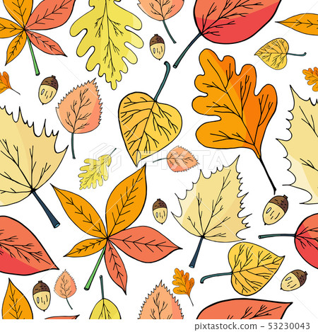 Основные RGB 53230043