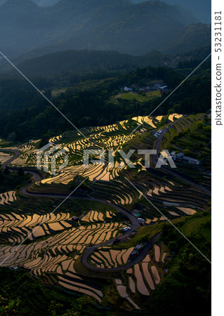 Maruyama Senjita晚上風景 53231181