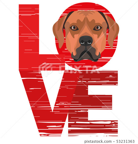 Love Rhodesian Ridgeback Love Rhodesian Ridgeback 53231363