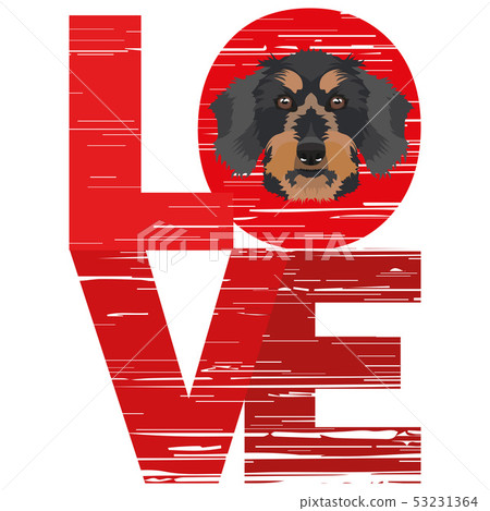 Love Dachshund 53231364