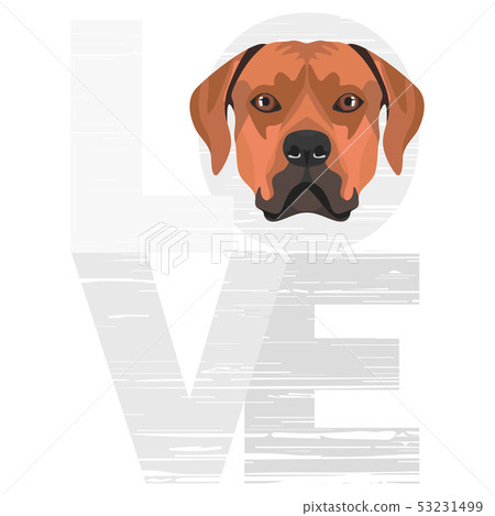 Love Rhodesian Ridgeback 53231499