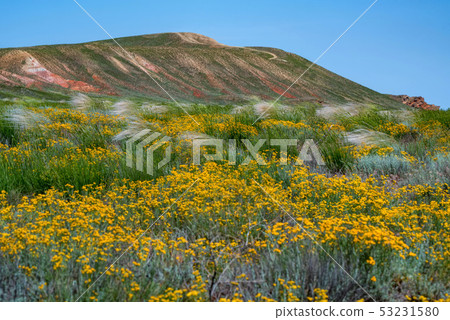Amazing landscape of mountain Big Bogdo and blooming steppe against sky. Russia Amazing landscape of mountain Big Bogdo and blooming steppe against sky. Russia 53231580