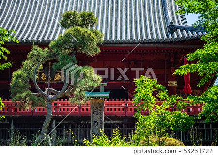 東京上野公園Shimizu Kannondo 53231722