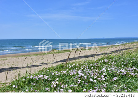 Noto Peninsula Quasi-National Park Coast 53232418