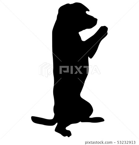Dog sitting on its hind legs silhouette on a white 53232913