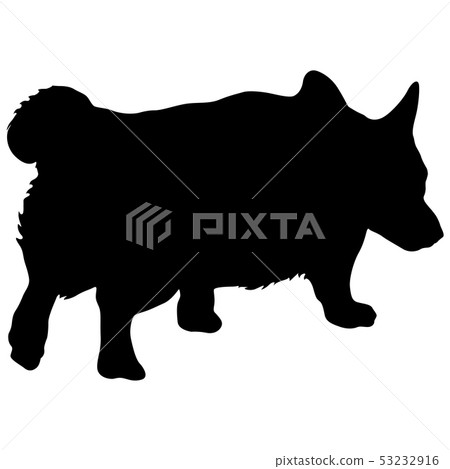 Welsh Corgi dog silhouette on a white background Welsh Corgi dog silhouette on a white background 53232916