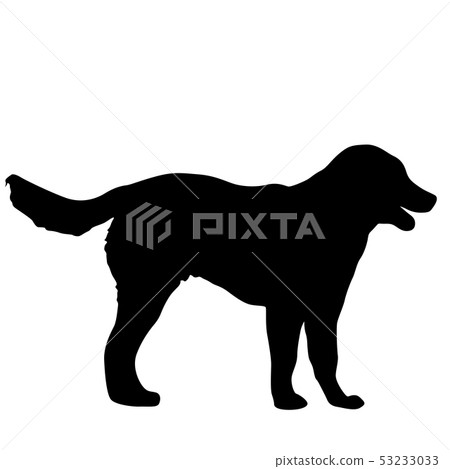 Shepherd dog silhouette on a white background 53233033