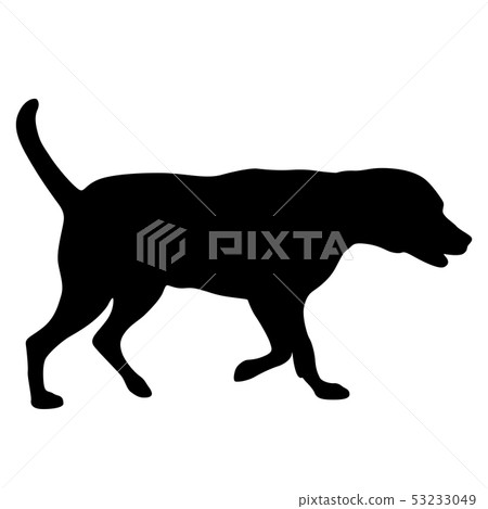 62.eps 62.eps 53233049