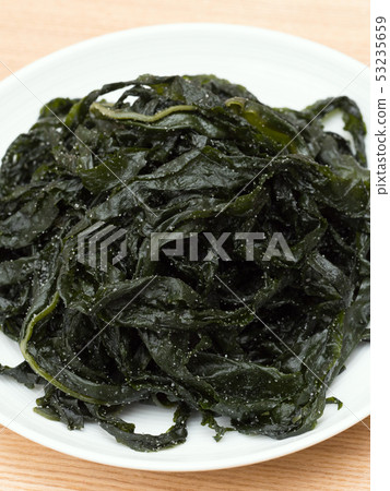 海藻海藻 53235659