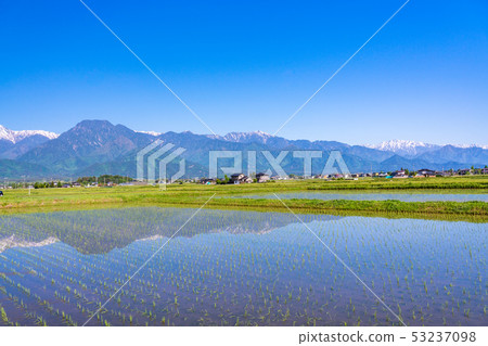 (長野縣)水稻種植後的安曇野鄉村景觀 (長野縣)水稻種植後的安曇野鄉村景觀 53237098
