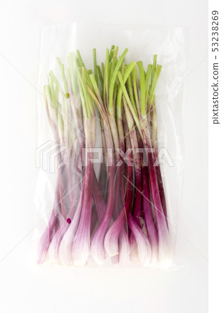 Rachyou (Red Yue) in a bag 53238269