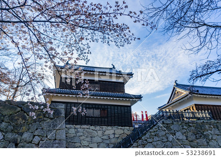 春天上田城堡櫻花盛開上田縣上田市 53238691
