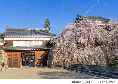 春天上田城堡櫻花盛開上田縣上田市 53238697