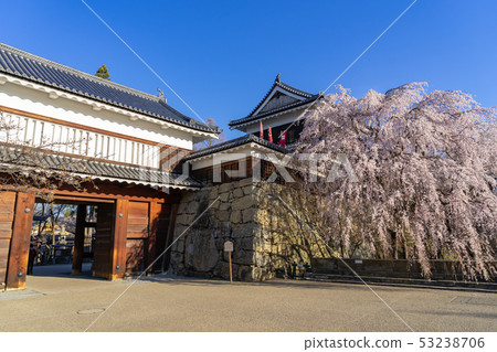 Spring Ueda Castle Cherry blossoms in full bloom Ueda City, Nagano Prefecture 53238706