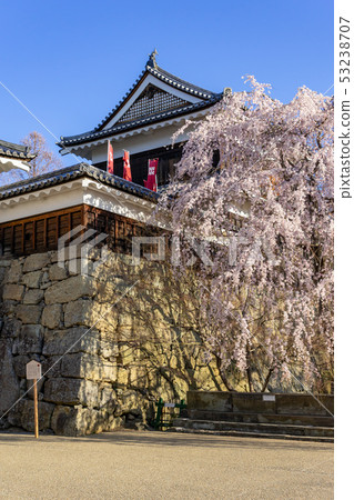 春天上田城堡櫻花盛開上田縣上田市 53238707