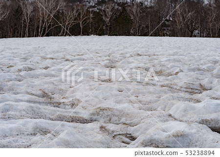 Melting snowfield 53238894