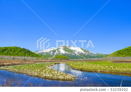 Minamata and Shibutsuyama 1 Minamata and Shibutsuyama 1 53239102
