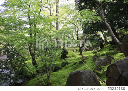 一個花園 一個花園 53239188