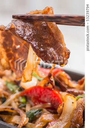 Bulgogi Bulgogi 53239794