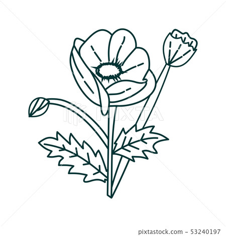 Flower Leaf Illustration Design Template Vector Flower Leaf Illustration Design Template Vector 53240197