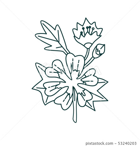 Flower Leaf Illustration Design Template Vector Flower Leaf Illustration Design Template Vector 53240203