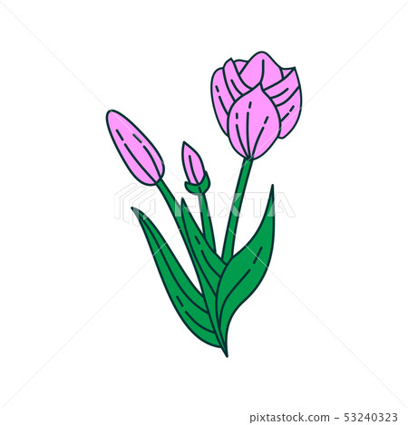 Flower Leaf Illustration Design Template Vector - Stock Illustration ...