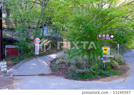 Daibosatsumine mountain climbing (Kamihikawa Pass mountain climbing entrance) 53240567