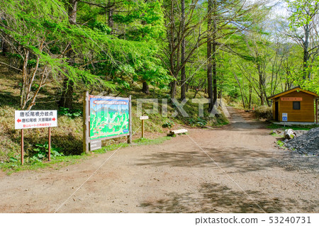 Oiso mountain climbing (karamatsuone branch point) 53240731