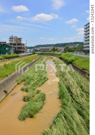 大雨後Yudonagawa八王子市 大雨後Yudonagawa八王子市 53241045