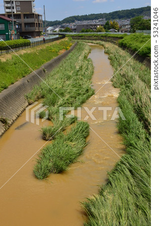 大雨後Yudonagawa八王子市 53241046