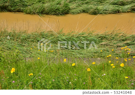 大雨後Yudonagawa八王子市 53241048