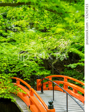 Kitano Tenmangu of blue leaves Kitano Tenmangu of blue leaves 53241415