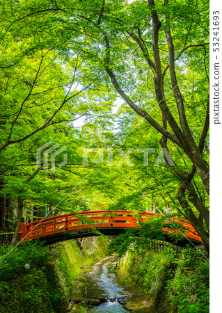 Kitano Tenmangu of blue leaves Kitano Tenmangu of blue leaves 53241693