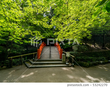 藍葉的北野Tenmangu 藍葉的北野Tenmangu 53242270