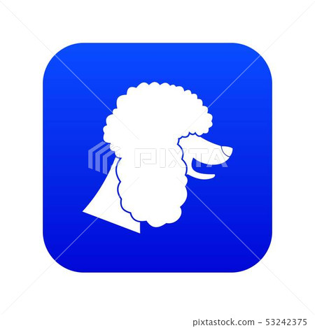 Poodle dog icon digital blue Poodle dog icon digital blue 53242375