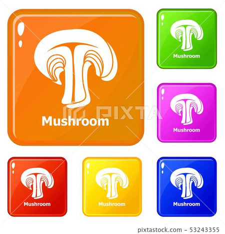 Mushroom icons set vector color Mushroom icons set vector color 53243355
