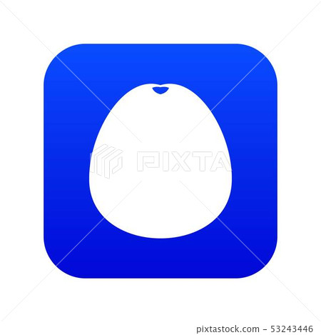 Pomelo icon digital blue 53243446