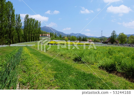 Idyllic scenery Idyllic scenery 53244188