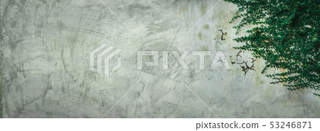 Green ivy leaves on cement wall background. 53246871