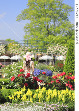 足利花卉公園玫瑰和婦女 足利花卉公園玫瑰和婦女 53247751
