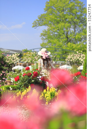 足利花卉公園玫瑰和婦女 足利花卉公園玫瑰和婦女 53247754