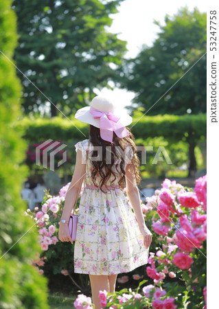 足利花卉公園玫瑰和婦女 53247758