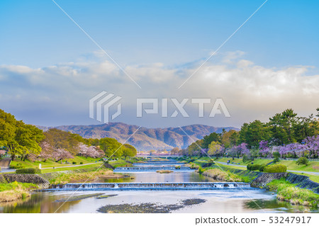京都春樹路 53247917