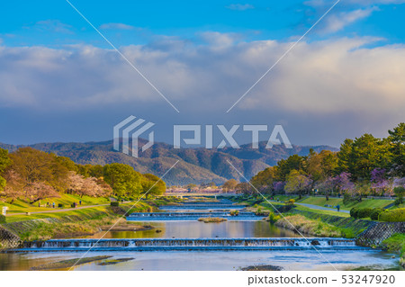 京都春樹路 53247920