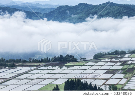 新潟縣小千谷市池田原來自信濃川和水稻種植剛剛結束的稻田的霧 53248086