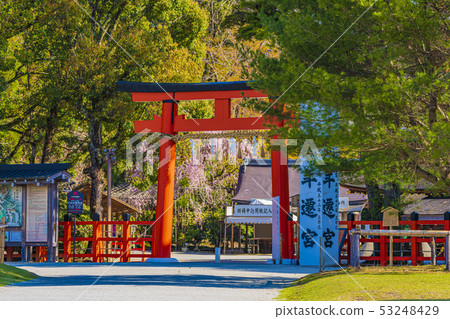 Kyoto Spring Kamigamo Shrine Nitori Torii 53248429