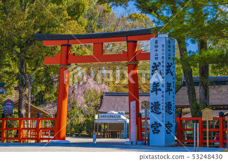 Kyoto Spring Kamigamo Shrine Nitori Torii 53248430